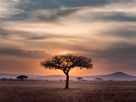 South Africa at the climate crossroads | Green Economy Coalition