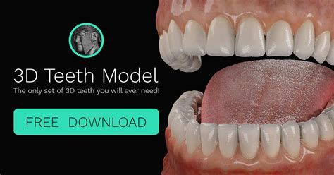 3D Teeth Model Online