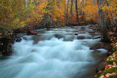 More Lee Vining Creek | Lee vining, Weather rain, Creek