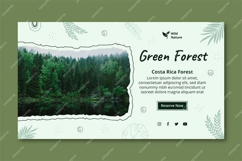 Premium Vector | Green forest banner template