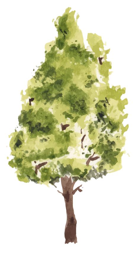 hand drawn tree watercolor illustration 11027793 PNG