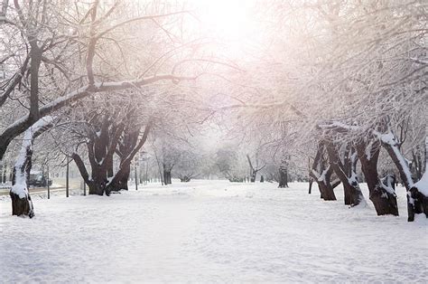 Here's New York State's Snowfall Records For All Counties