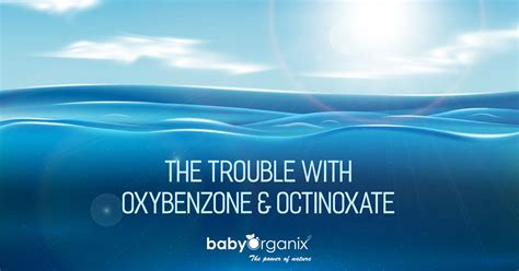 The Trouble with Oxybenzone & Octinoxate