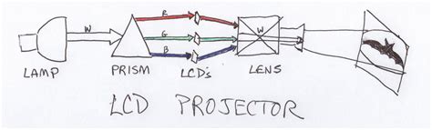 bat signal fig1 – Portland Occupier