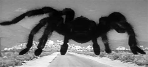 Giant Tarantula Movie