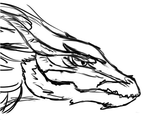 Dragon Head Side View Sketch by Dapplesnow on DeviantArt