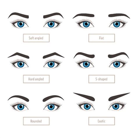 How To Match Your Eyebrow Shape To Your Face Shape - The Eyebrow Specialist Pallara