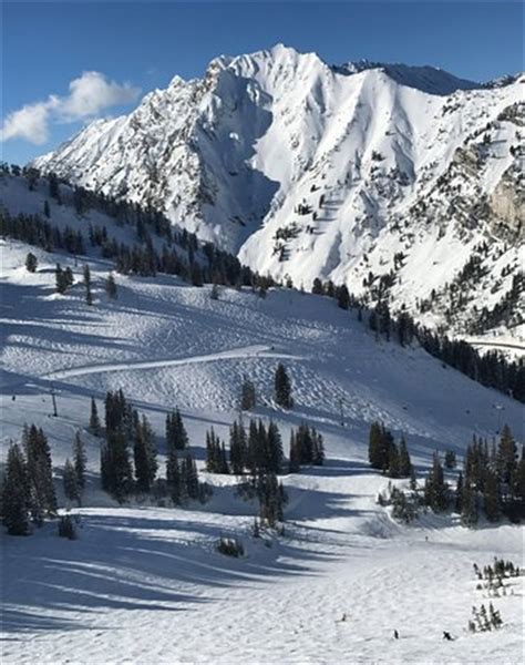 Base looking up Alf's High Rustler - Picture of Alta Ski Resort, Alta - TripAdvisor