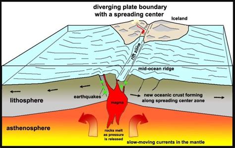 Mid Ocean Atlantic Ridge Definition - ocean wildlife list