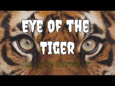 Survivoreye Of The Tiger With Lyrics And Pictures Youtube