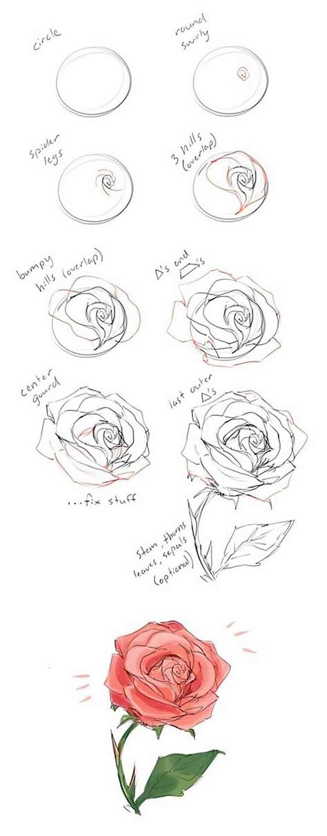 How to Draw Roses (Easy Ideas and Tutorials) - Beautiful Dawn Designs