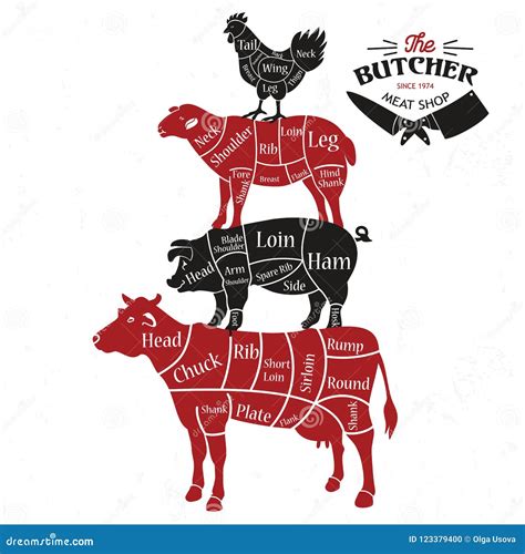 Meat Cuts. Diagrams for Butcher Shop. Animal Silhouette. Vector Illustration. Stock Vector ...