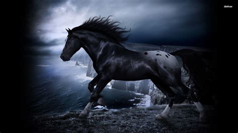 Black and White Horse Wallpapers - Top Free Black and White Horse Backgrounds - WallpaperAccess