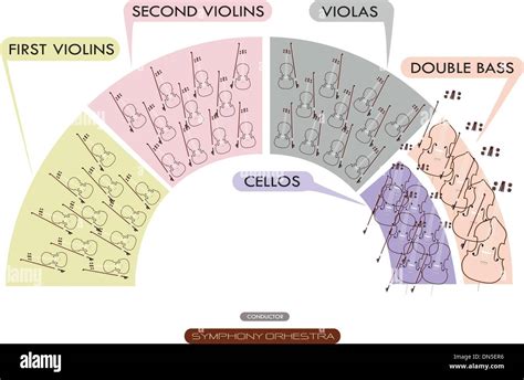 Orchestra Layout