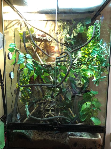 Chameleon cage Chameleon Enclosure, Chameleon Cage, Veiled Chameleon, Reptile Enclosure, Reptile ...