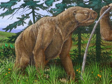 The Giant Ground Sloth: A Prehistoric Creature That Was Much More Agile Than We Thought – MudFooted