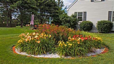 Gardening Mistakes That Can Hinder The Growth Of Your Daylilies