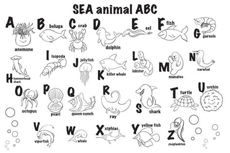 SEA animal ABC | Alphabet coloring pages, Abc coloring pages, Abc coloring