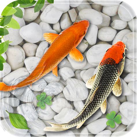 Fish Live Wallpaper Aquarium | androidrank.org