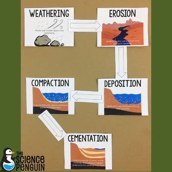 Sedimentary Rock Formation Activity by The Science Penguin | TPT