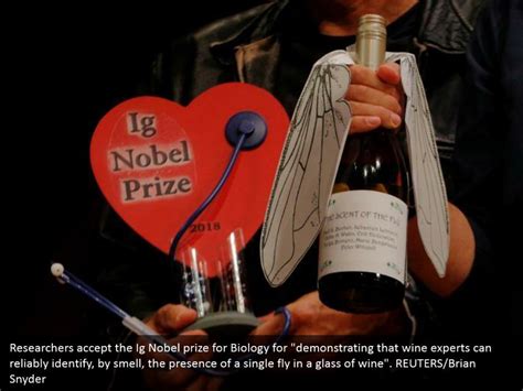 PPT - 28th First Annual Ig Nobel Prize Ceremony PowerPoint Presentation - ID:8012344