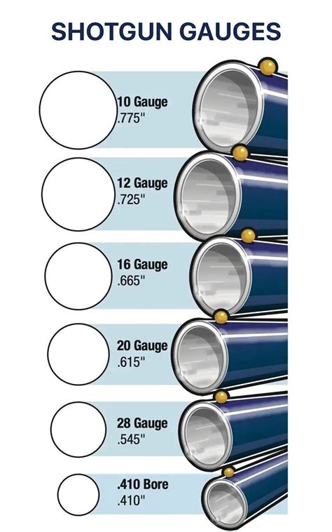 Shotgun Shell 12 Gauge Dimensions