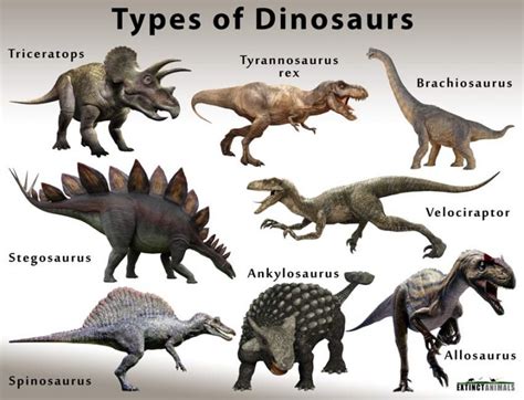 Types of Dinosaurs | Extinct Animals