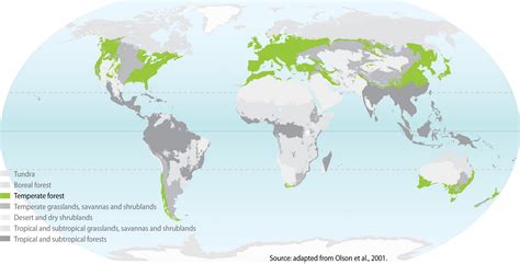 Temperate Forest under Climate Change: 十一月 2011