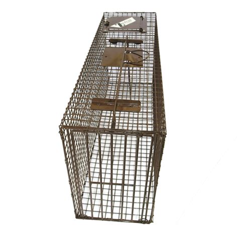 Bobcat Live Cage Trap, Bobcat Pro | Animal Traps & Supplies