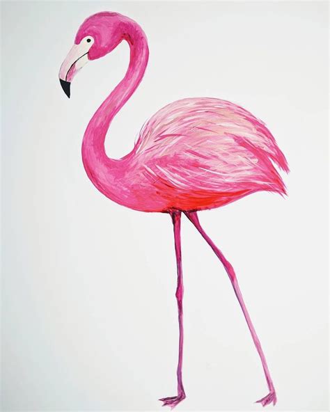 Flamingo drawing illustration | How to draw flamingo, Flamingo, Drawing & illustration