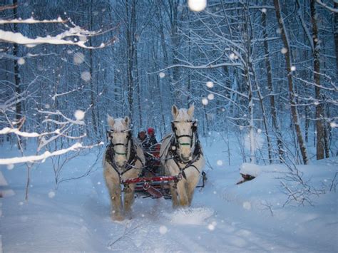 Sleigh Rides – Dual Acres Wagon & Sleigh Rides