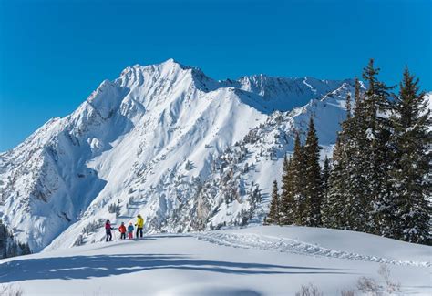 Alta Ski Area [Skiing, Lodging, Maps] | Visit Utah