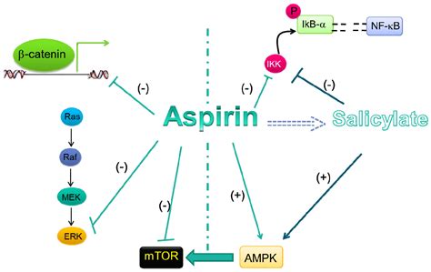 Aspirin Mechanism Of Action / Hemostasis: Lesson 5 - Antiplatelet Meds (Part 1 of 2 ... / It ...