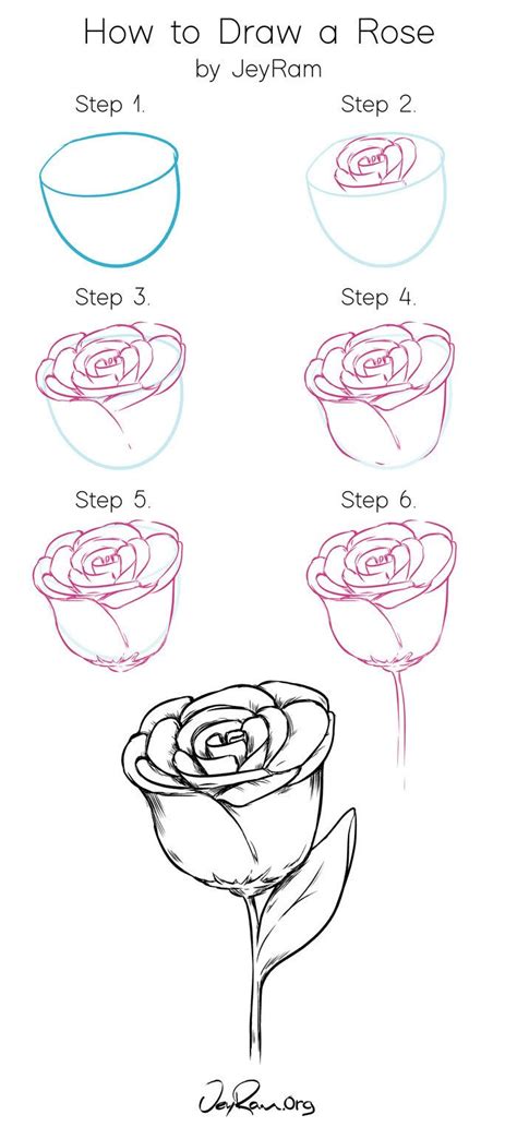 1001+ ideas and Tutorials on How to Draw a Rose Step by Step