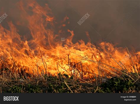 Grass Fire Image & Photo (Free Trial) | Bigstock