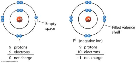 Anion_Formation – kimcampion.com