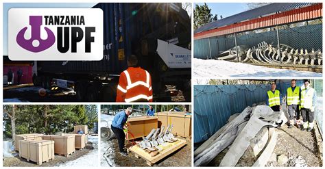 UPF Group Organized the Logistics of a Blue Whale Skeleton from Far Inland Sweden to Port Louis ...