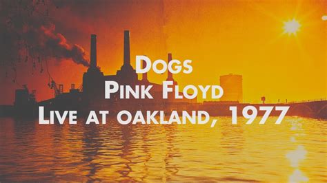 Pink Floyd - Dogs - Live at Oakland Chords - Chordify