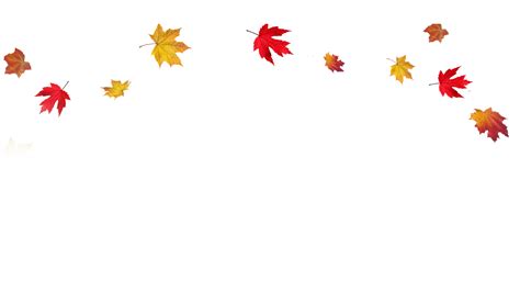 Autumn leaf color Clip art - Transparent Fall Leaves Border PNG png download - 1600*900 - Free ...