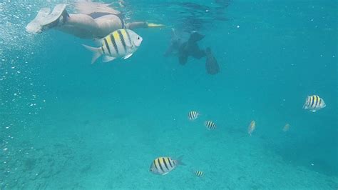 Snorkel en CAYO SANTA MARIA - CUBA - YouTube