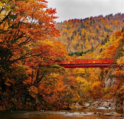 Hokkaido Colors: Our Favorite Autumn Spots | Vacation Niseko Blog