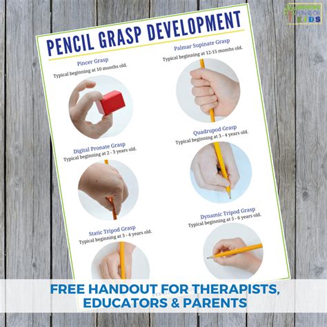 Pencil Grasp Development Handout for Parents, Educators, and Therapists