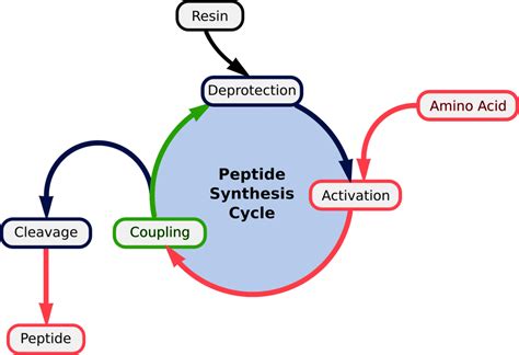 Peptide Synthesis - Methods and Reagents