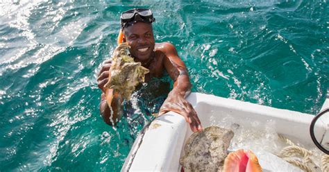 Bahamas Conch Salad: The perfect conch salad recipe and conch food