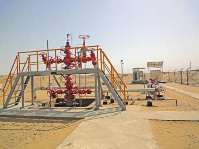 A Brief Introduction To Wellhead Pressure Control System| Wingoil