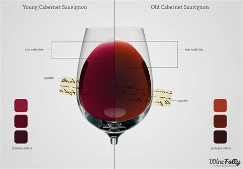 Learn The Secrets of Each Red Wine Color | Wine Folly