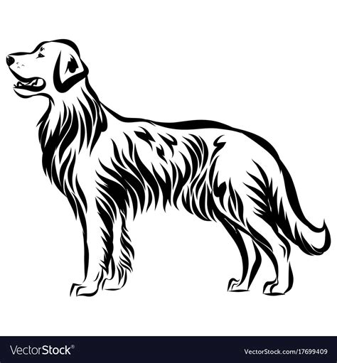 Image of an dog labrador Royalty Free Vector Image