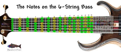 The Notes on the 6-String Bass Guitar! - Bradley Fish