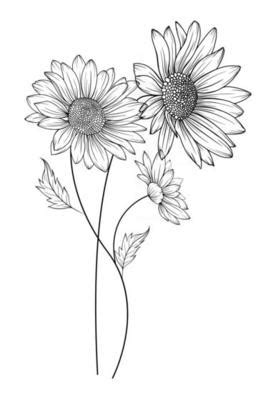 Daisy Drawing Vector Art, Icons, and Graphics for Free Download