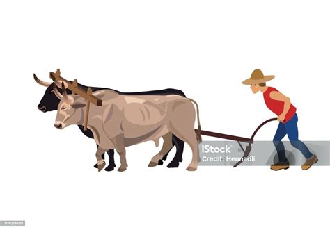 Farmer Plowing Field With Oxen Stock Illustration - Download Image Now - Wild Cattle, Yoke, Men ...